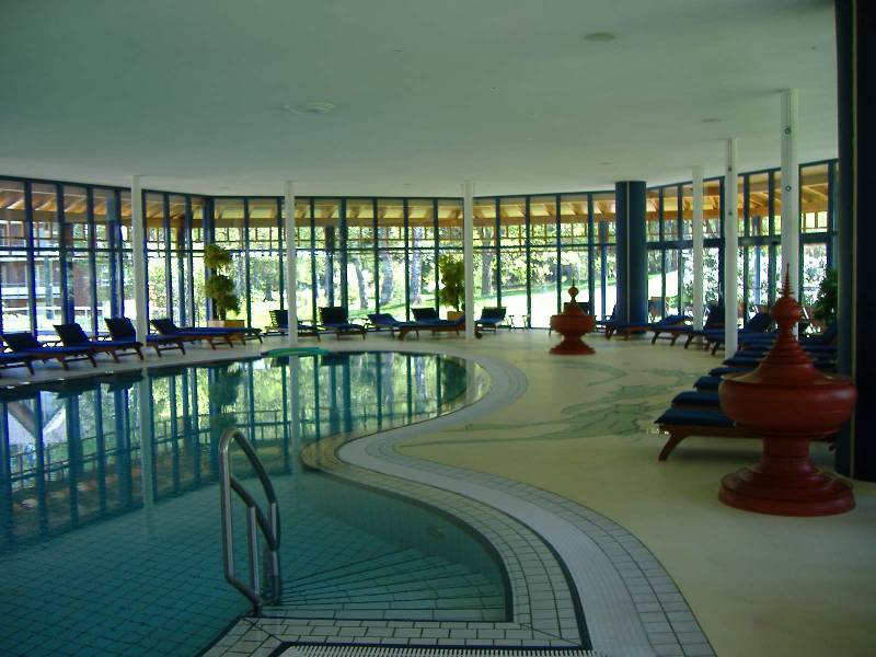 Parkhotel Adler Hinterzarten (11) 